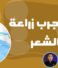 مين جرب زراعة الشعر في مصر